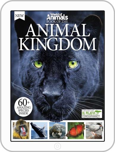 World of Animals Book of the Animal Kingdom Magazine Subscription ...