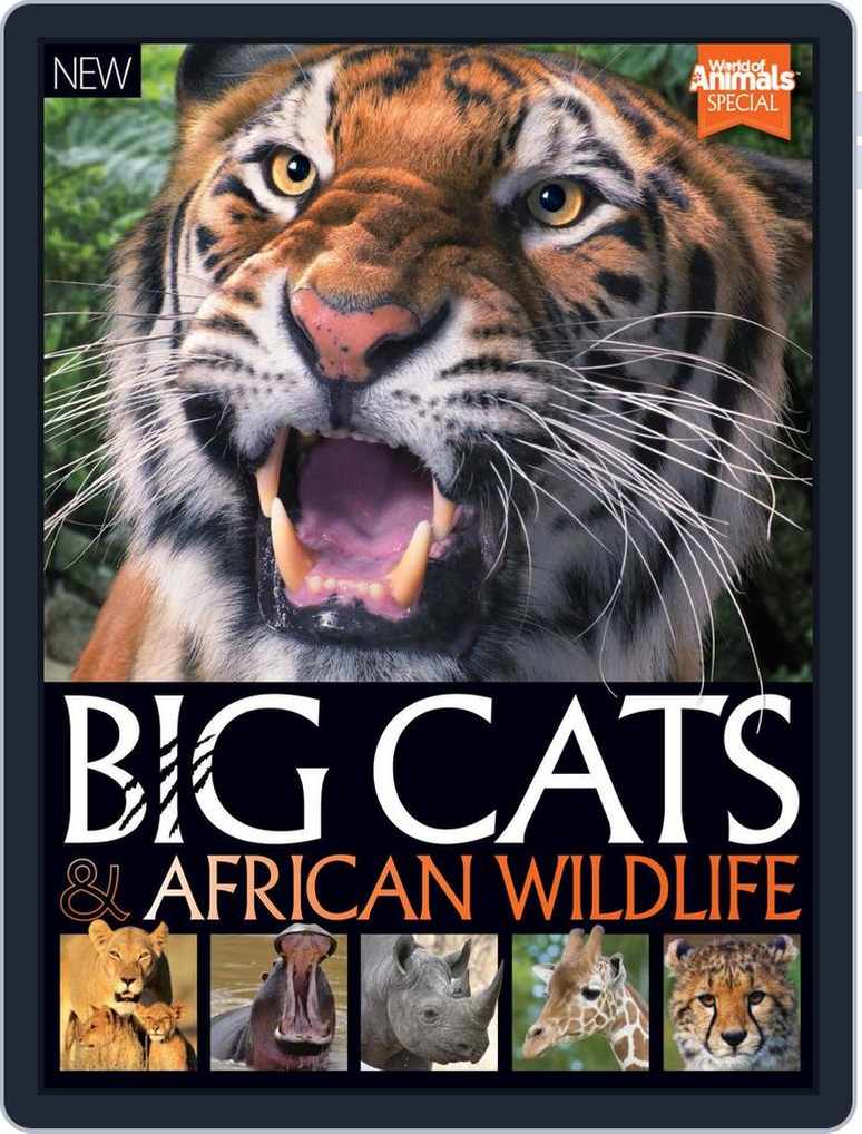 World Of Animals Book Of Big Cats And African Wildlife Magazine