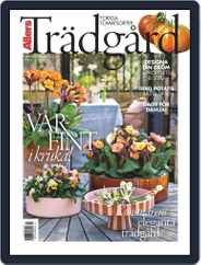 Allers Trädgård Magazine (Digital) Subscription                    March 1st, 2024 Issue