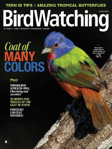 BirdWatching May 1st, 2023 Digital Back Issue Cover