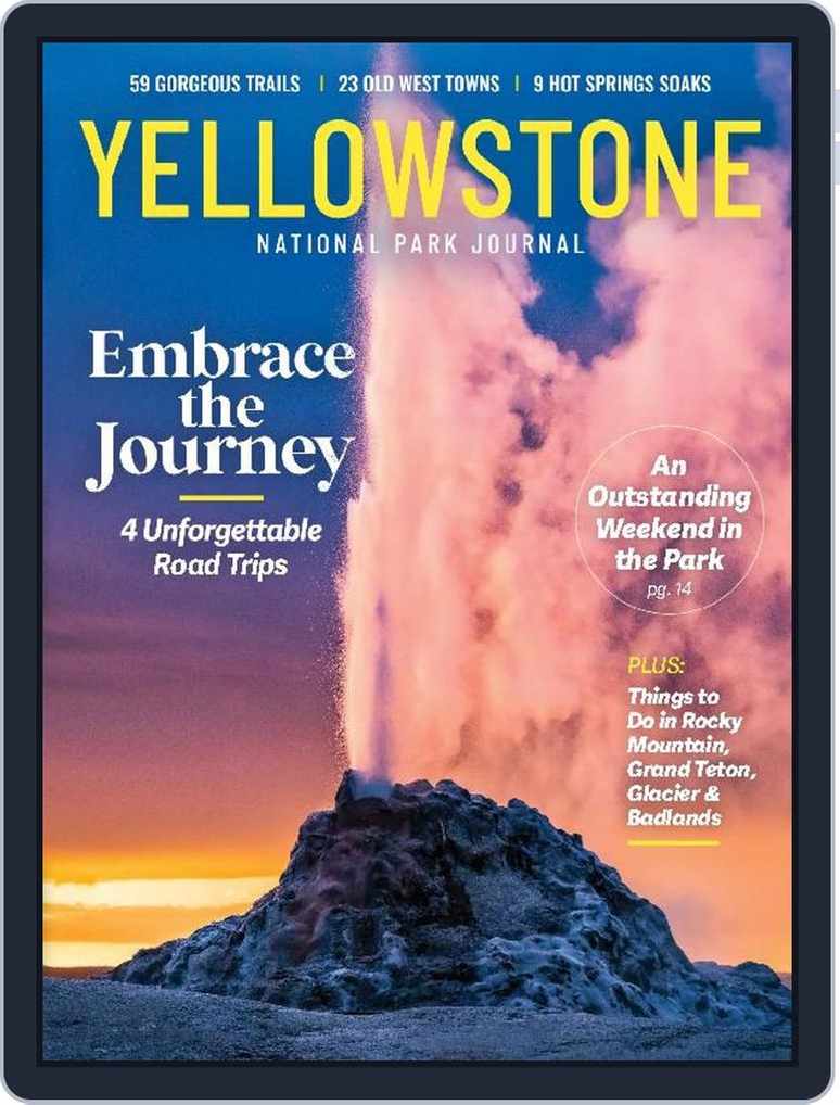 Buhl Park Concert Series 2024: Unforgettable Performances Await