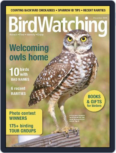 BirdWatching November 1st, 2019 Digital Back Issue Cover