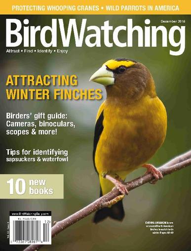 BirdWatching November 1st, 2018 Digital Back Issue Cover