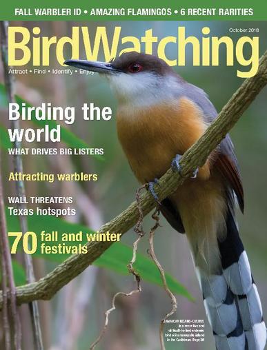 BirdWatching September 1st, 2018 Digital Back Issue Cover