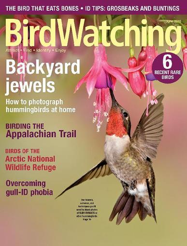 BirdWatching May 1st, 2018 Digital Back Issue Cover