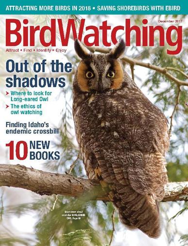 BirdWatching November 1st, 2017 Digital Back Issue Cover
