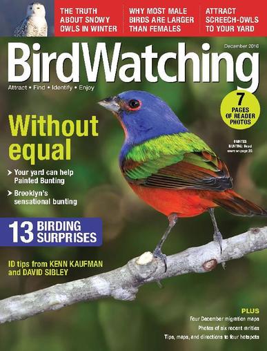 BirdWatching December 1st, 2016 Digital Back Issue Cover