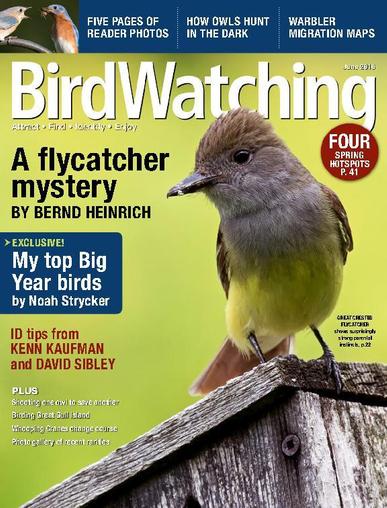 BirdWatching April 16th, 2016 Digital Back Issue Cover