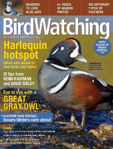 BirdWatching December 22nd, 2015 Digital Back Issue Cover