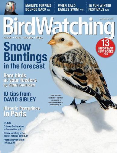 BirdWatching October 23rd, 2014 Digital Back Issue Cover