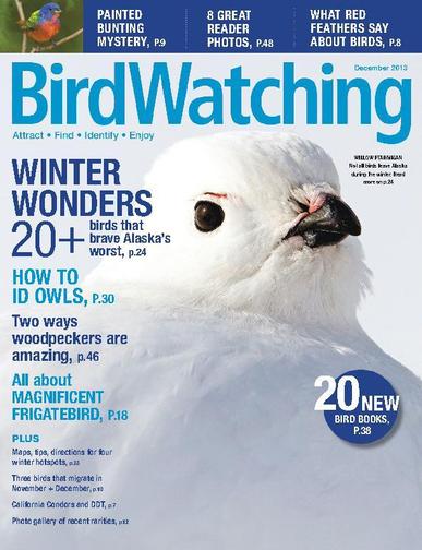 BirdWatching October 25th, 2013 Digital Back Issue Cover