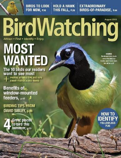 BirdWatching June 21st, 2013 Digital Back Issue Cover