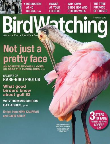 BirdWatching December 21st, 2012 Digital Back Issue Cover