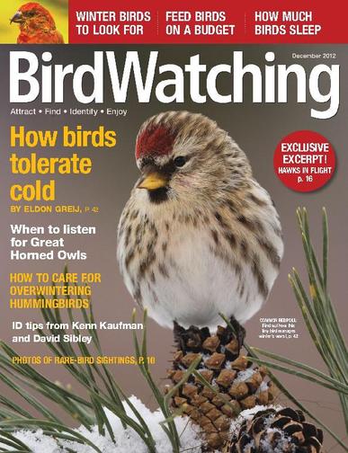 BirdWatching November 6th, 2012 Digital Back Issue Cover