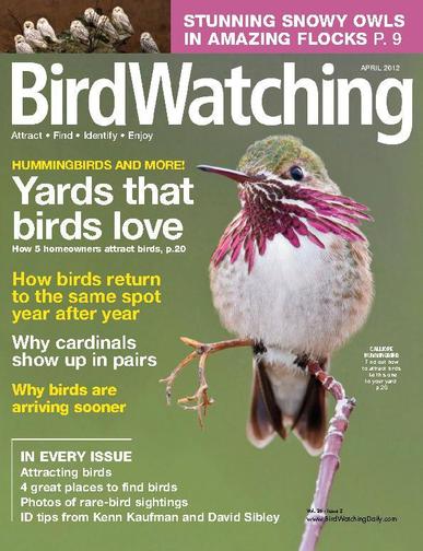 BirdWatching February 25th, 2012 Digital Back Issue Cover