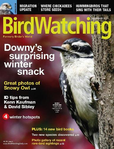 BirdWatching October 25th, 2011 Digital Back Issue Cover