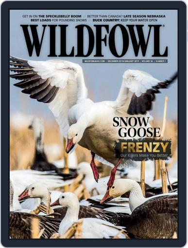 Wildfowl December 1st, 2018 Digital Back Issue Cover