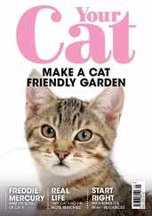 Your Cat (Digital) Subscription                    May 1st, 2023 Issue