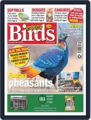 Cage & Aviary Birds (Digital) Subscription                    April 19th, 2023 Issue