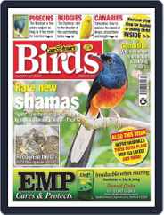 Cage & Aviary Birds (Digital) Subscription                    April 26th, 2023 Issue