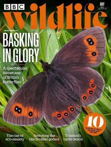 Bbc Wildlife May 1st, 2023 Digital Back Issue Cover