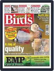 Cage & Aviary Birds (Digital) Subscription                    May 10th, 2023 Issue