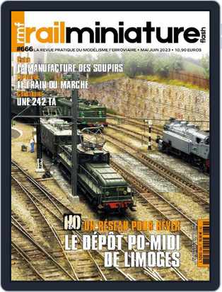 Agitateur - Magazine Rail Miniature Flash : le Forum