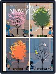 The New Yorker (Digital) Subscription                    May 22nd, 2023 Issue