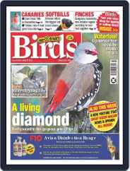 Cage & Aviary Birds (Digital) Subscription                    May 17th, 2023 Issue
