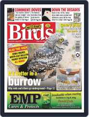 Cage & Aviary Birds (Digital) Subscription                    May 24th, 2023 Issue