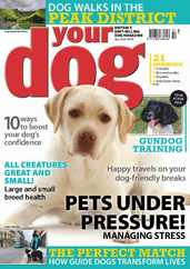 Your Dog (Digital) Subscription                    July 1st, 2023 Issue