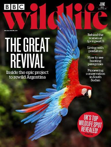 Bbc Wildlife June 1st, 2023 Digital Back Issue Cover