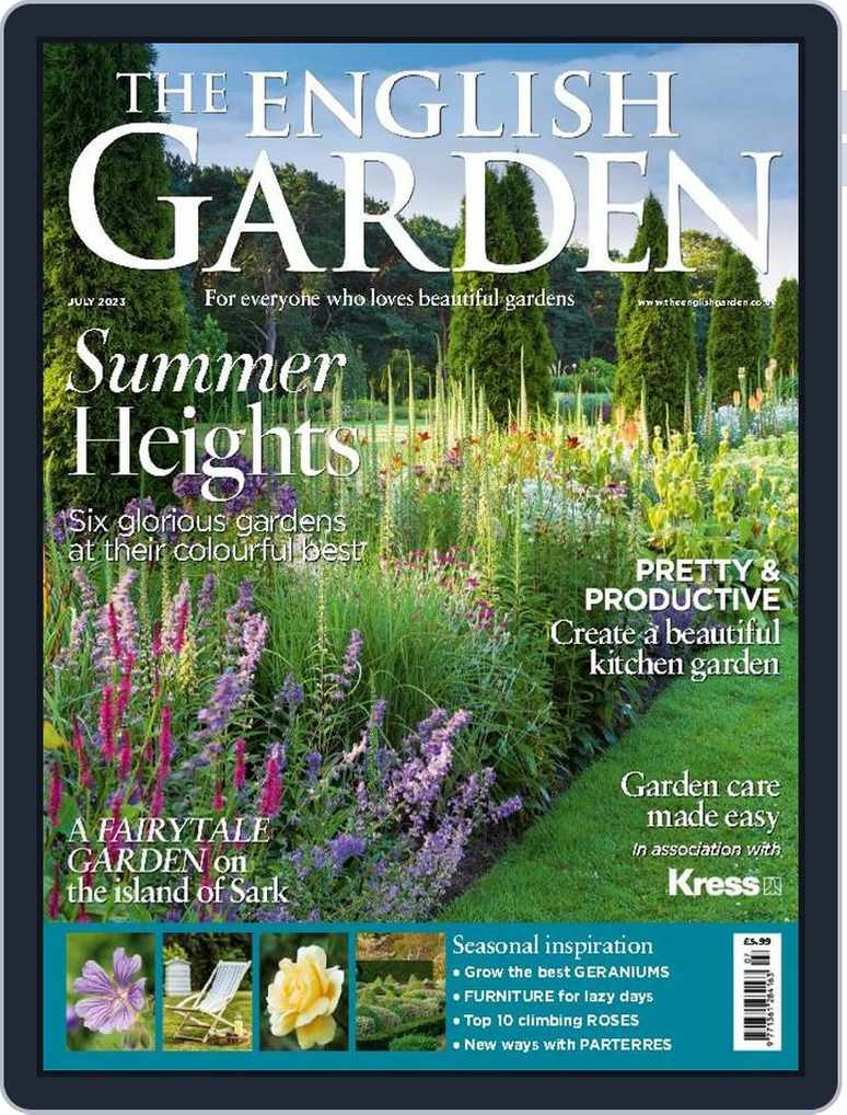 Autumn Dainty Daisies – About The Garden Magazine