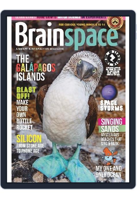 Brainspace (Digital) Subscription                    June 1st, 2023 Issue