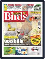Cage & Aviary Birds (Digital) Subscription                    June 28th, 2023 Issue