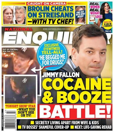 National Enquirer November 13th, 2015 Digital Back Issue Cover