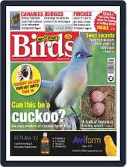 Cage & Aviary Birds (Digital) Subscription                    July 5th, 2023 Issue