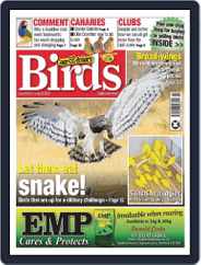 Cage & Aviary Birds (Digital) Subscription                    July 12th, 2023 Issue