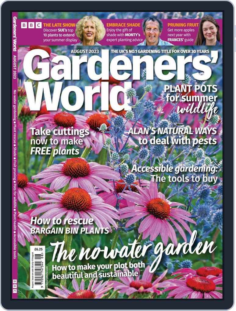 How To Grow Thyme  BBC Gardeners World Magazine