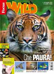 Focus Wild (Digital) Subscription                    August 1st, 2023 Issue
