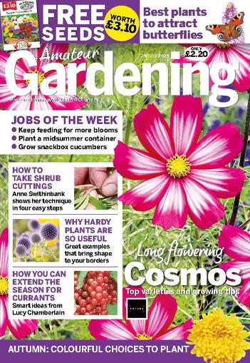 Amateur Gardening July 29th, 2023 Digital Back Issue Cover