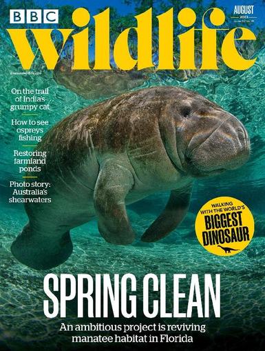Bbc Wildlife August 1st, 2023 Digital Back Issue Cover