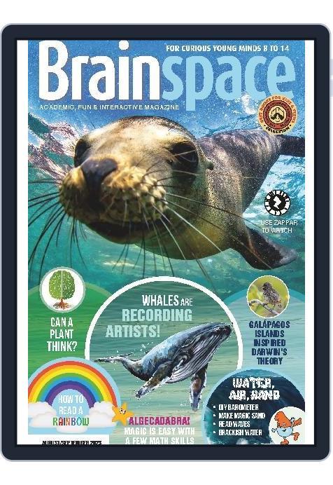 Brainspace (Digital) Subscription                    August 1st, 2023 Issue