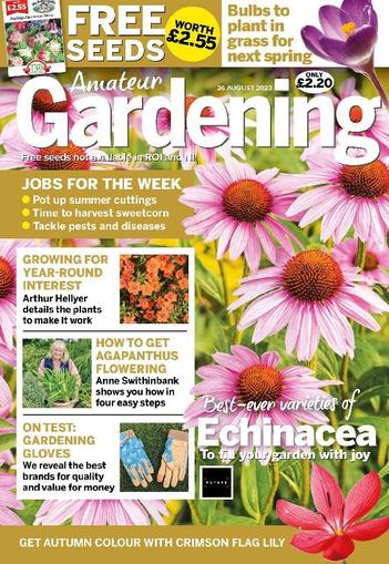 Amateur Gardening August 26th, 2023 Digital Back Issue Cover