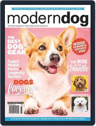 The Cane Corso  Modern Dog magazine