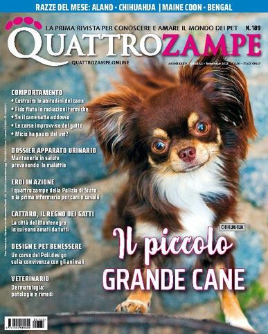Quattro Zampe August 23rd, 2023 Digital Back Issue Cover