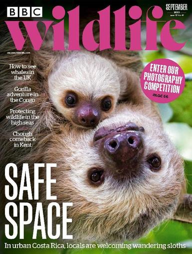 Bbc Wildlife September 1st, 2023 Digital Back Issue Cover