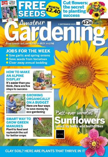 Amateur Gardening September 2nd, 2023 Digital Back Issue Cover