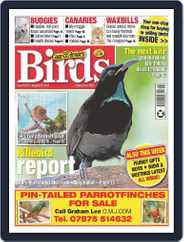 Cage & Aviary Birds (Digital) Subscription                    August 30th, 2023 Issue