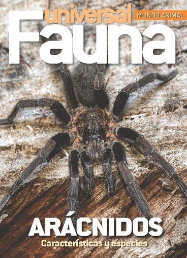 Fauna Universal July 15th, 2023 Digital Back Issue Cover
